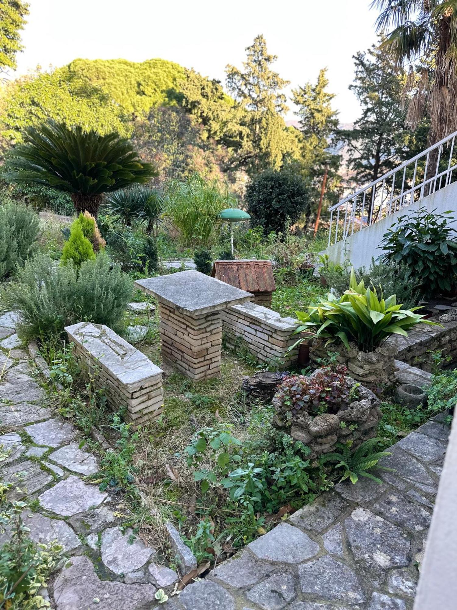 Studio Apartment Palma ヘルツェグ・ノヴィ エクステリア 写真